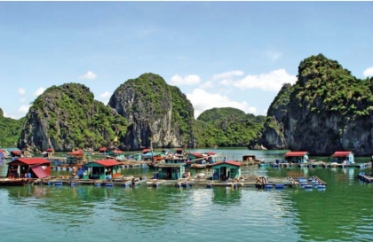 Cai Beo Floating Village - Best Place To Visit In Cat Ba Island