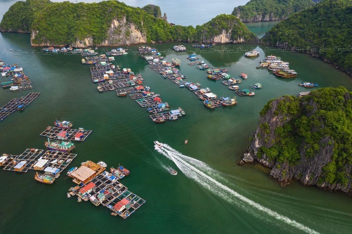 Cai Beo fishing village in Lan Ha Bay is approximately 25km away from Ha Long City