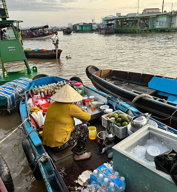 Mekong delta 1