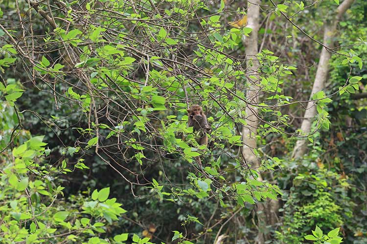 ninh binh from hanoi tour