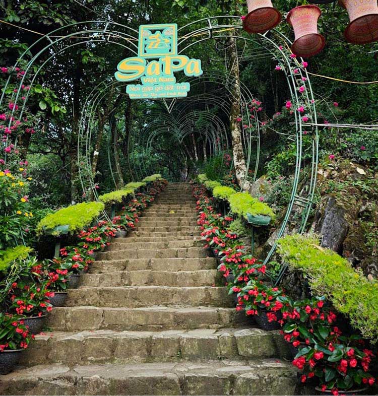 ham rong mountain 2