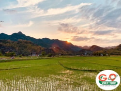 Mai Chau Tour 2 days - Mai Chau tour 2 days 1 night