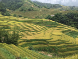 Sapa tour without trekking 2 days or 3 days