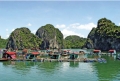 Cai Beo Floating Village - Best Place To Visit In Cat Ba Island