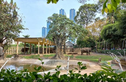 Saigon Zoo and Botanical Gardens - Things to do, What to see?