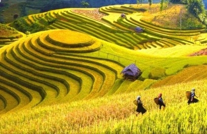 Is Sapa weather favorable for traveling? The best time to travel