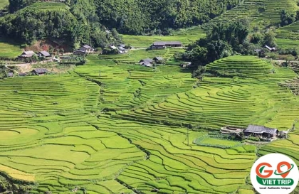 Lao Chai Village (Sapa) - All You Need to Know BEFORE You Go