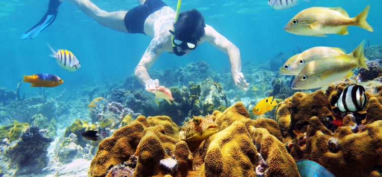Go Snorkeling in the Cham Islands