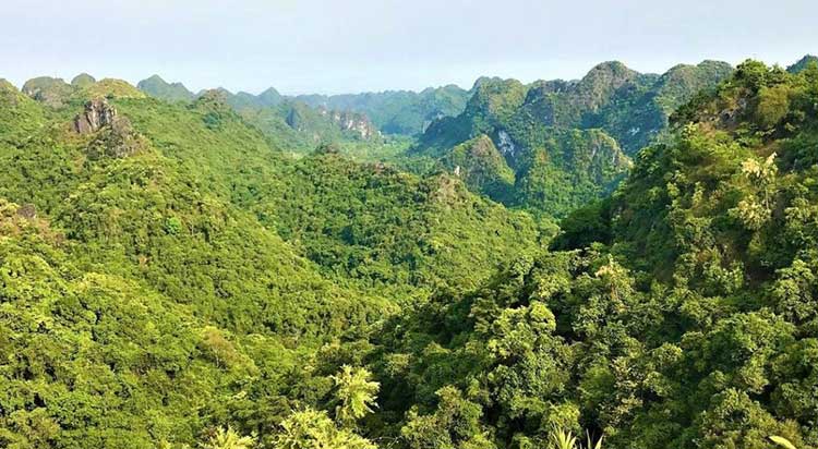 Cat Ba National Park Opening Hours