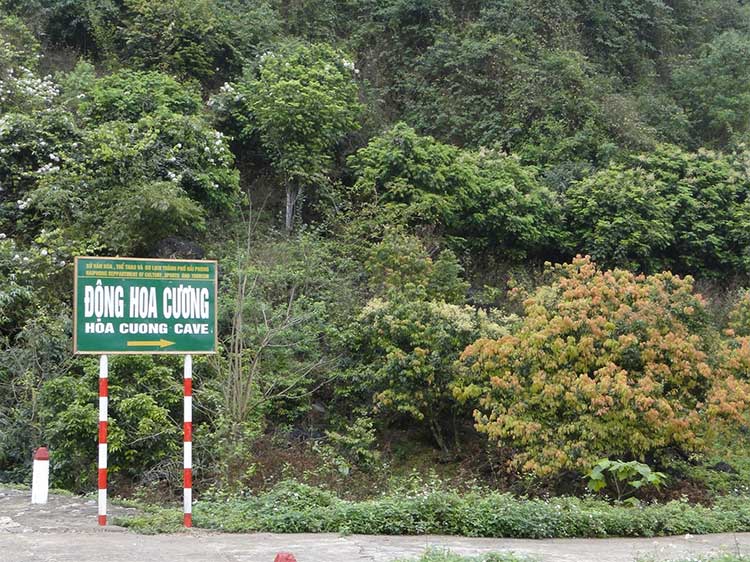 Where is the Hoa Cuong Cave