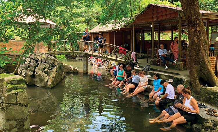 With only 20,000 VND per person, you will experience a foot and hand massage service provided by small fish