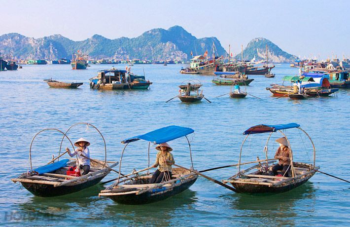 Cruise to admire the beauty of Cai Beo Fishing Village