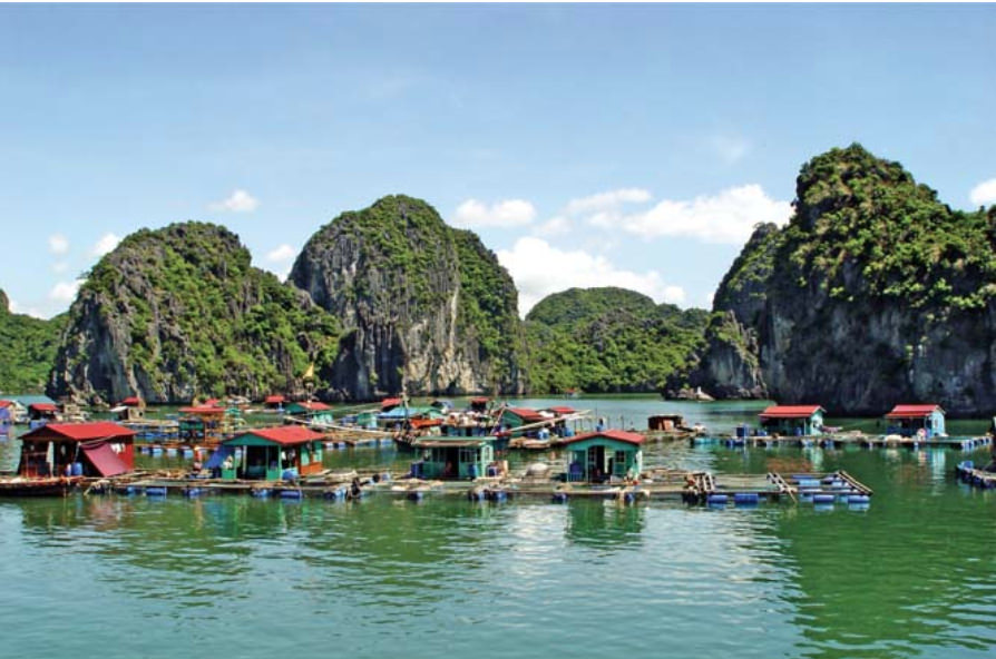 Cai Beo Fishing Village is located in the Cat Ba Archipelago, Cat Hai Island District, Hai Phong City