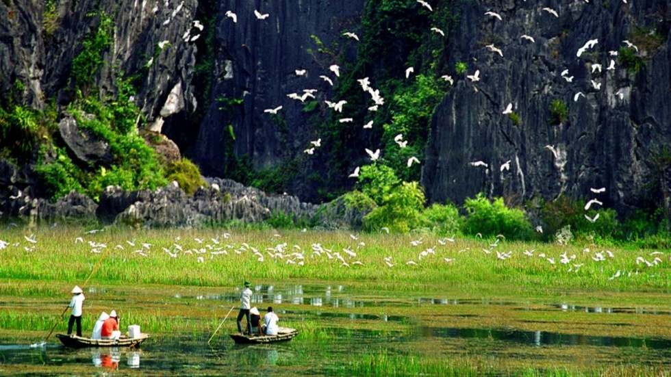 The meaning of Thung Nham bird park