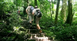 https://goviettrip.com/uploaded/ninh-binh/trekking-at-cuc-phuong-national-park-ninh-binh.jpg