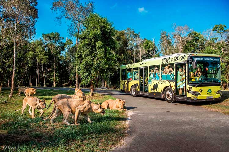 Visitors to Phu Quoc will have a wonderful experience when discovering Vinpearl Safari Phu Quoc