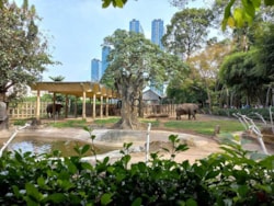 Saigon Zoo and Botanical Gardens - Things to do, What to see?
