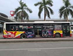 Bus Ninh Binh to Halong: The Best Guide For Your Travel 2024